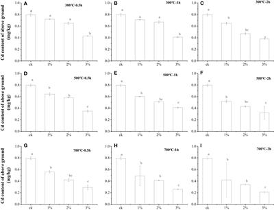 Effects of water hyacinth biochar on lettuce growth in cadmium-contaminated soil